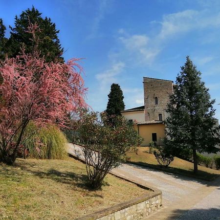 Casa Per Ferie Ulivo D'Assisi Villa Luaran gambar