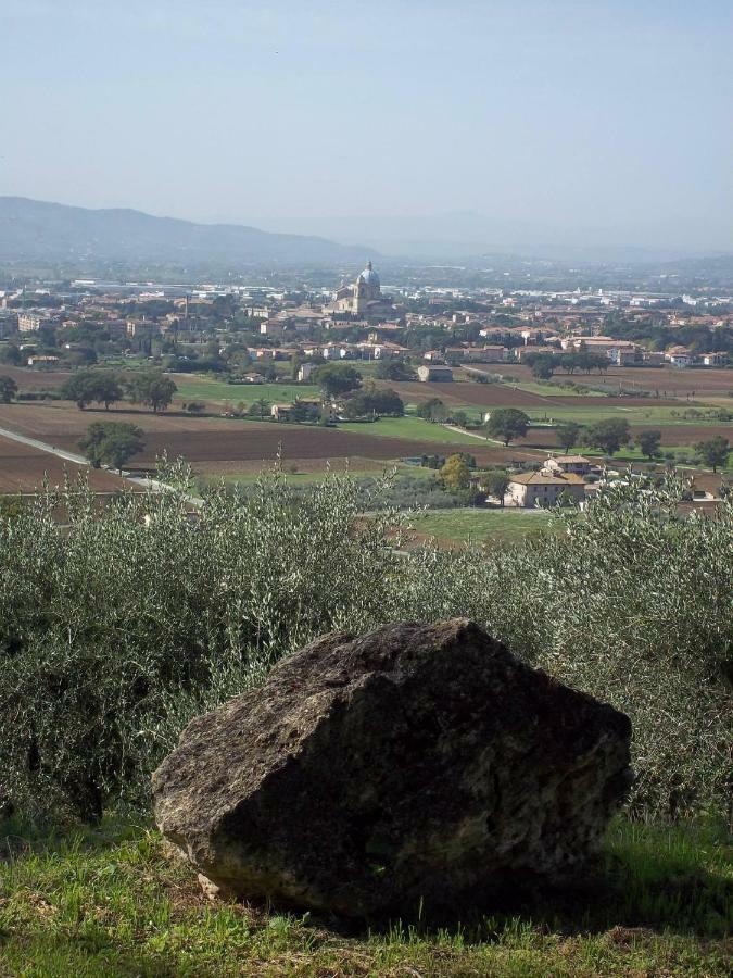 Casa Per Ferie Ulivo D'Assisi Villa Luaran gambar
