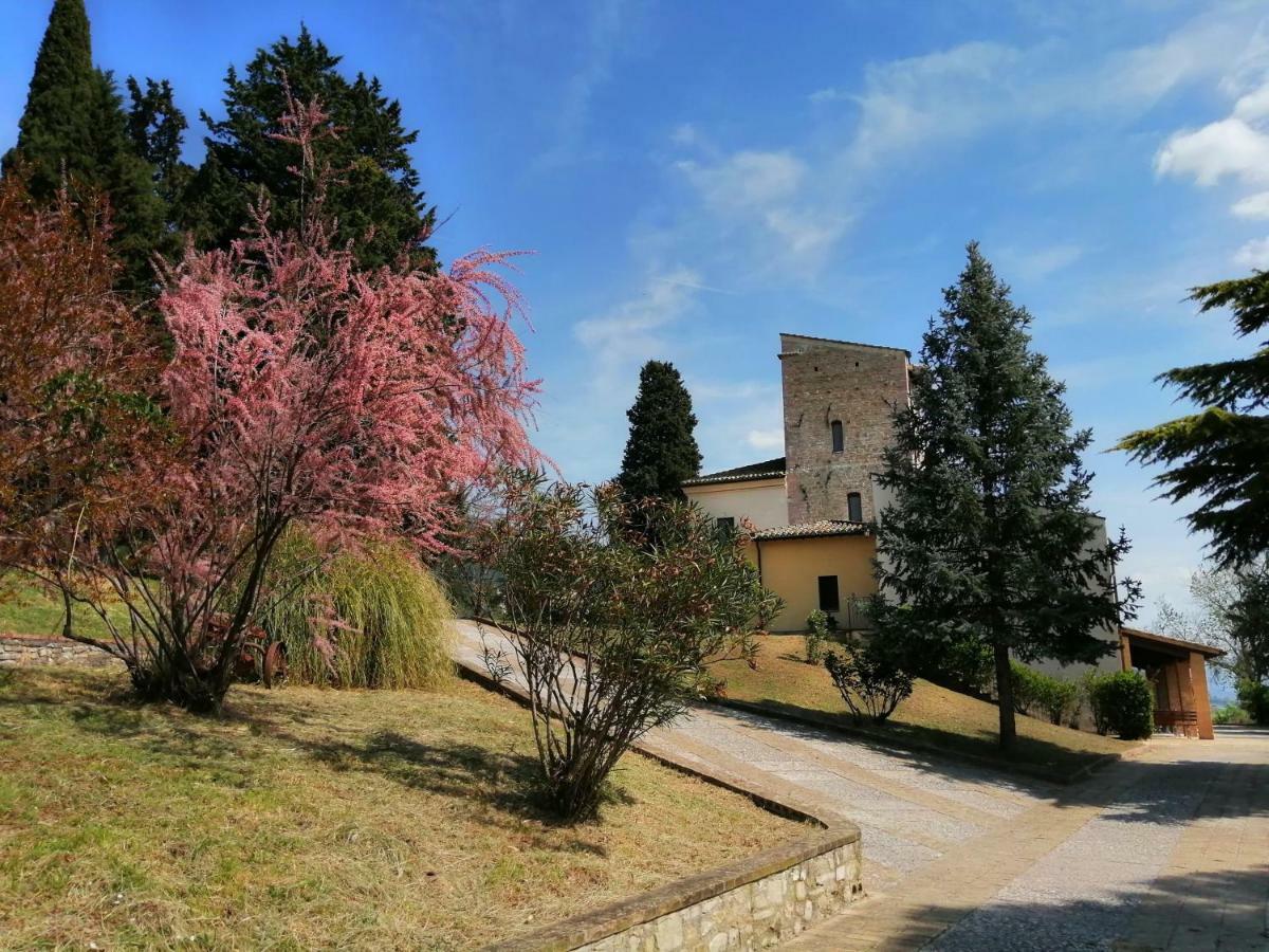 Casa Per Ferie Ulivo D'Assisi Villa Luaran gambar